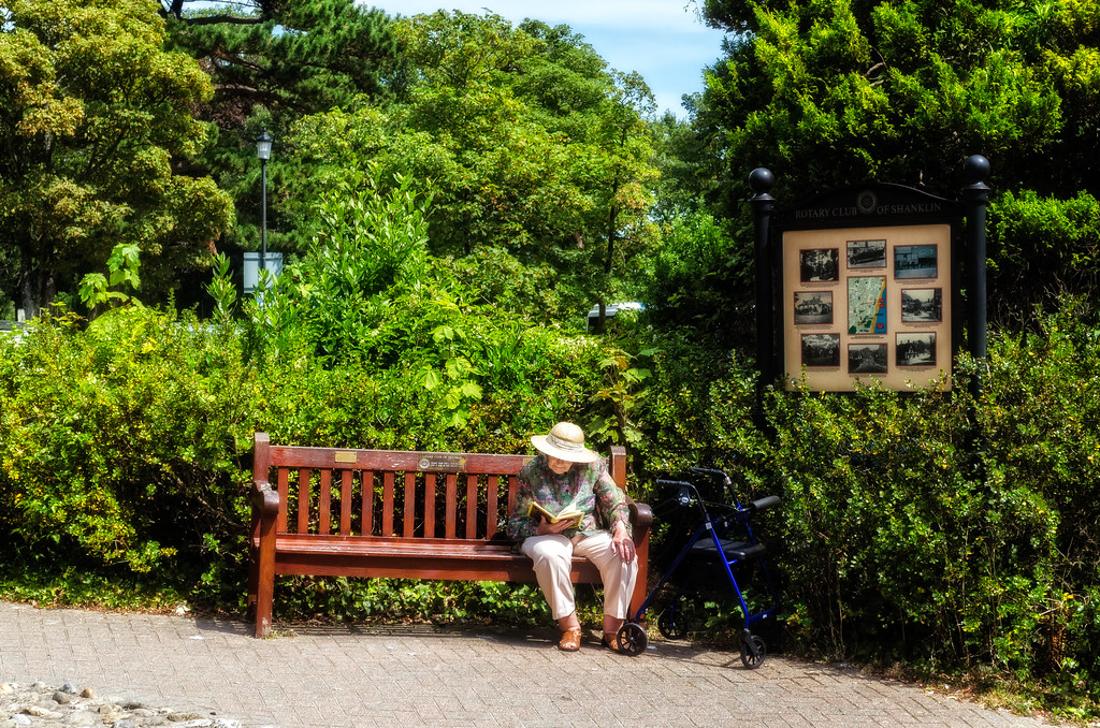 An older person resting in a leafy park