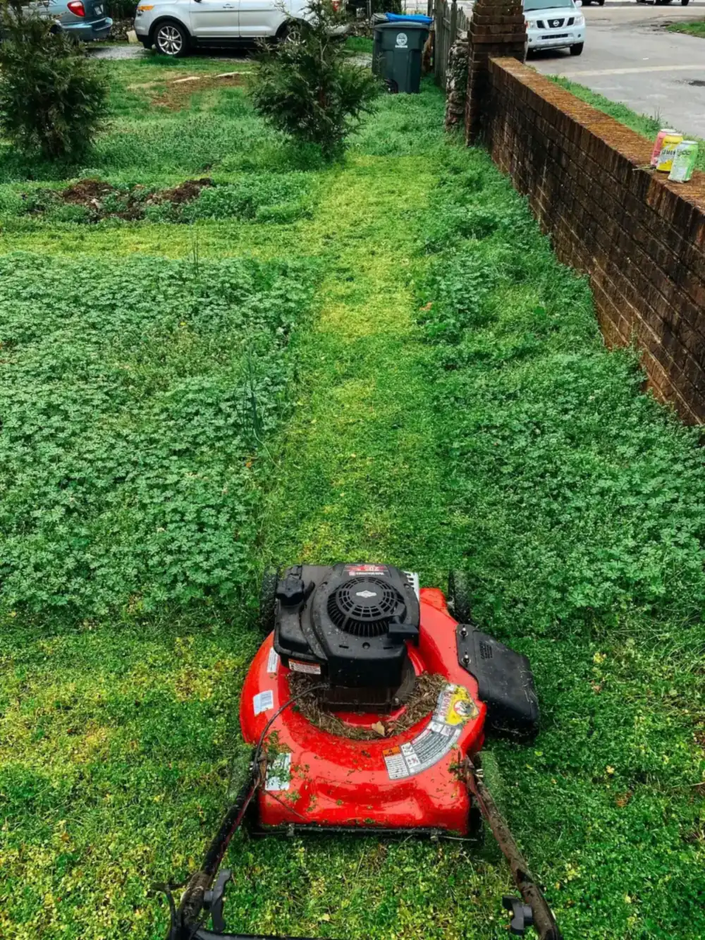 A lawn mower cutting a clean path through green grass